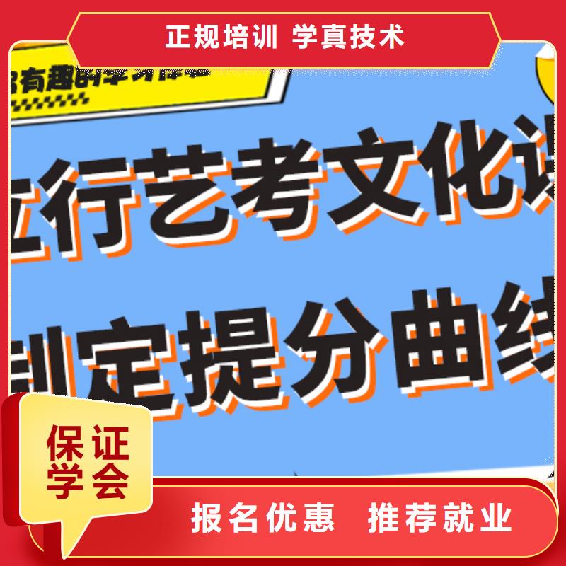 艺术生文化课-高考冲刺班学真技术师资力量强