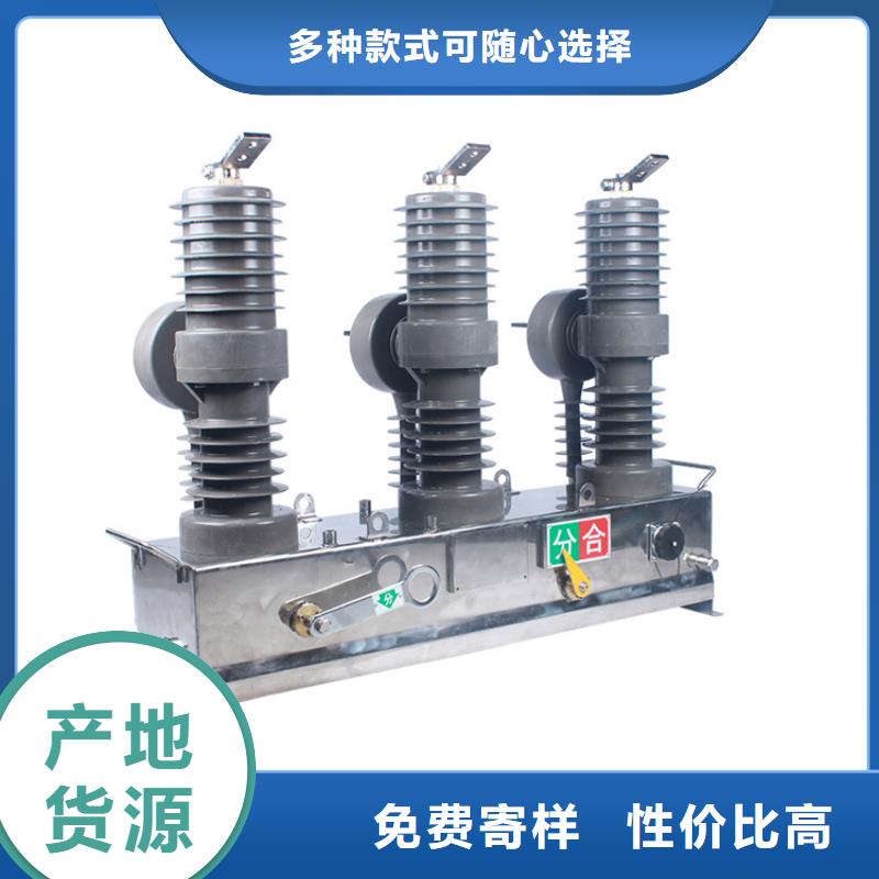 真空断路器氧化锌避雷器厂质量为本同城公司