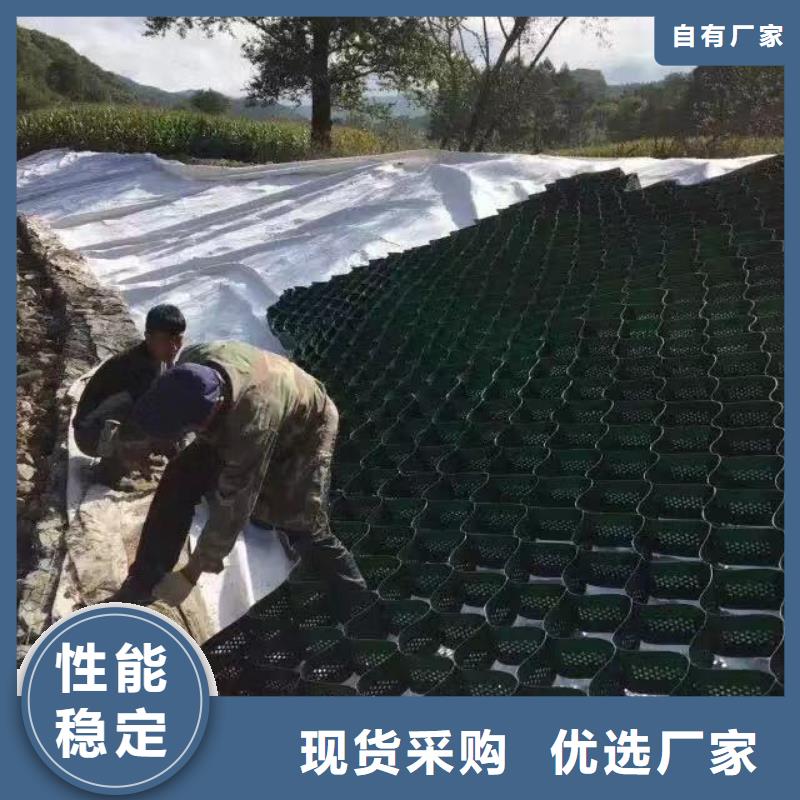 蜂巢格室玻璃纤维土工格栅源头厂家直销用好材做好产品