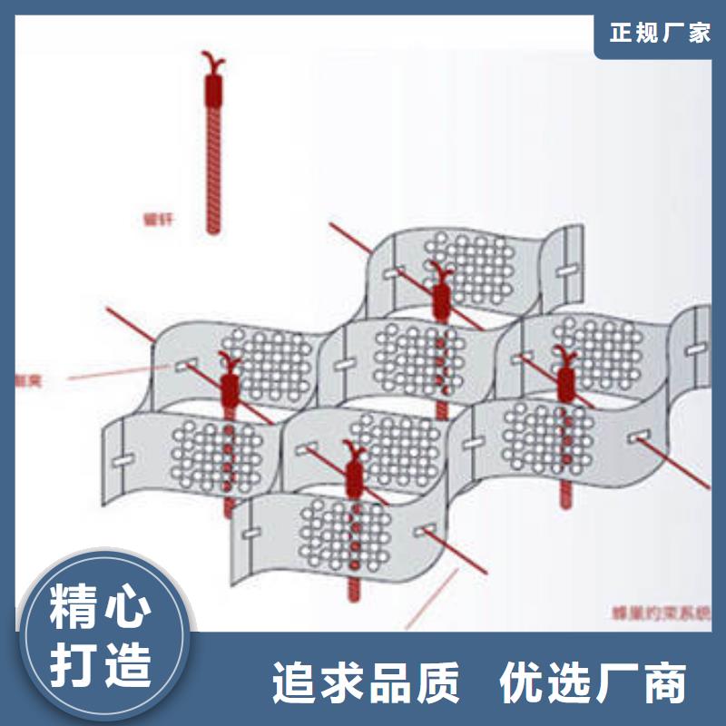 蜂巢格室蜂巢土工格室设备齐全支持定制老品牌厂家