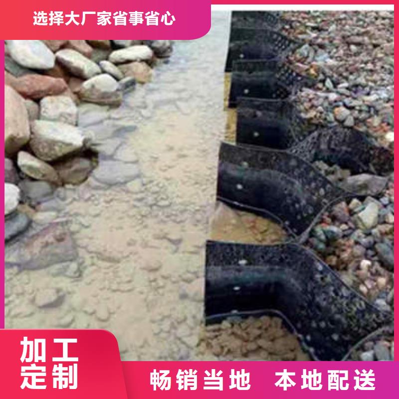 蜂巢格室_双向塑料土工格栅经销商匠心制造