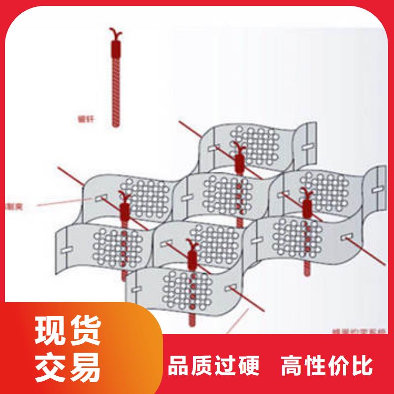 蜂巢格室网格布好货有保障本地厂家