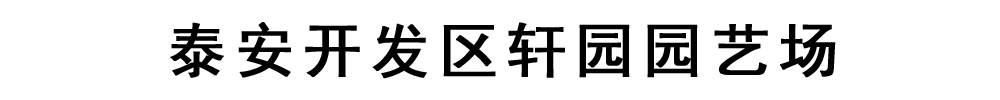 轩园园艺场